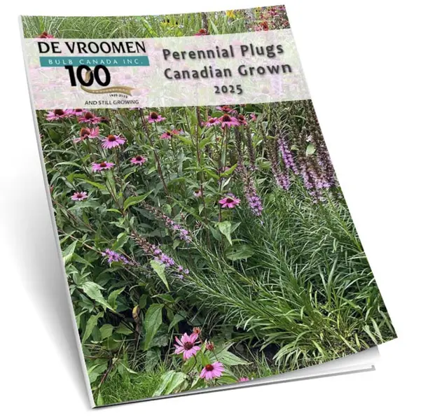 Exciting New Program: Canadian Grown Perennial Plugs